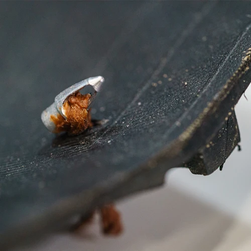 Miniaturebillede 2